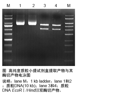 高纯度质粒小量提取试剂盒